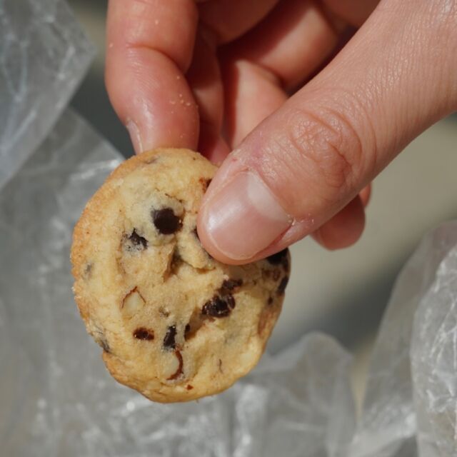 🍪メロン皮クッキー🍪

店頭で販売中のサンセットメロンパンの生地を使用🥐
チョコチップとナッツで食感も◎です！

お子様でも食べやすいクッキーです♪
移動中の軽食や、小腹が空いた時、
お子様と一緒に過ごすコーヒーブレイクのお供として
是非、お買い求めください🪽🪽

#淡路島 #淡路パン #淡路パン屋 #淡路ベーカリー #淡路グルメ #アワイチ #パン屋 #ベーカリー #明石海峡大橋 #淡路島グルメ #淡路島ドライブ #日帰り旅行 #パン屋 #淡路西海岸 #淡路島デート #淡路島ベーカリー #淡路島カフェ #コーヒー #ddベーカリー #ddbakery  #季節限定

〜〜✴︎〜〜✴︎〜〜✴︎〜〜
(D.D.ベーカリー淡路島店)
〒656-1725
兵庫県淡路市野島江崎611
TEL0799-70-6872
(OPEN)am9:00-17:00